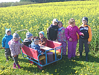 Kita Die wilden Zwerge